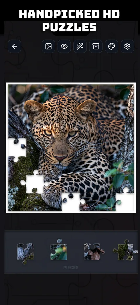 Handpicked HD puzzle photography, shown with a leopard portrait puzzle